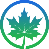 Key Mulberry Tree Removal