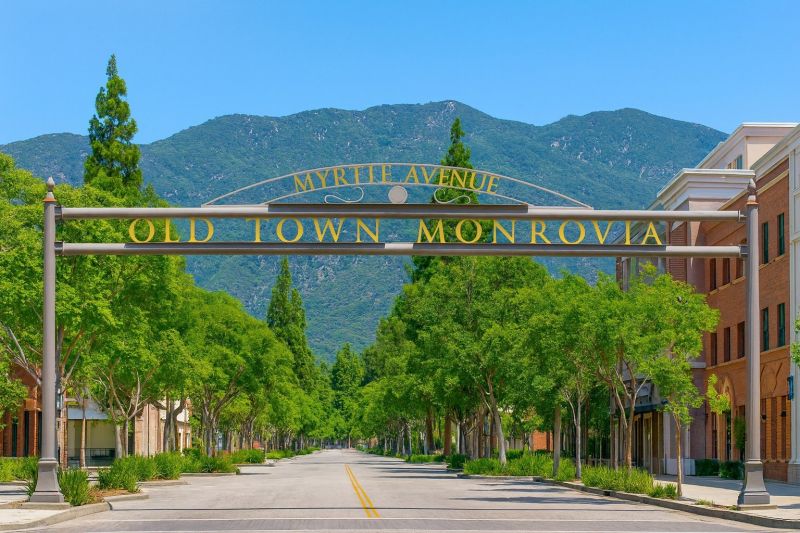 Dead Tree Removal in Monrovia, CA