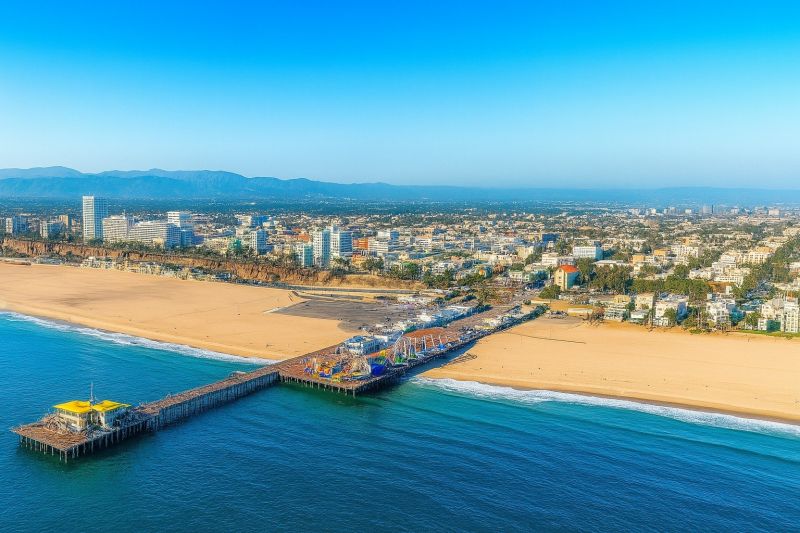 Dead Tree Removal in Santa Monica, CA