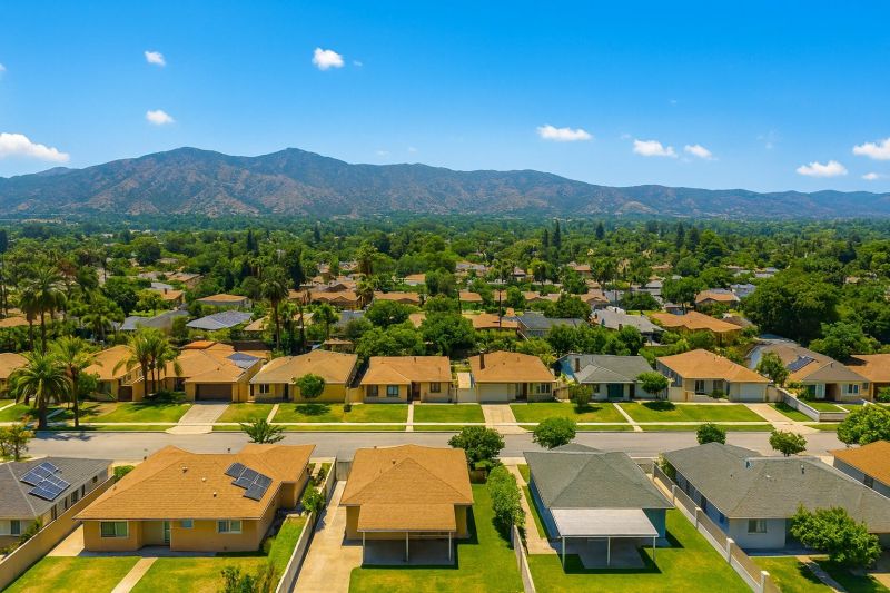 Dead Tree Removal in Sylmar, CA