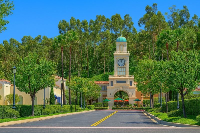 Dead Tree Removal in Chatsworth, CA