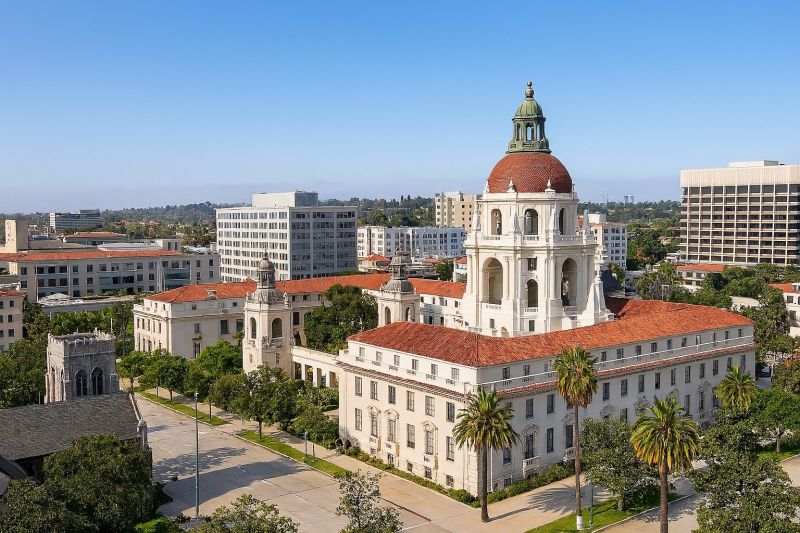 Dead Tree Removal in Pasadena, CA