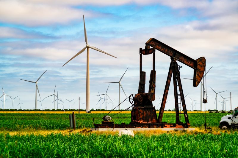 Dead Tree Removal in Lubbock, TX