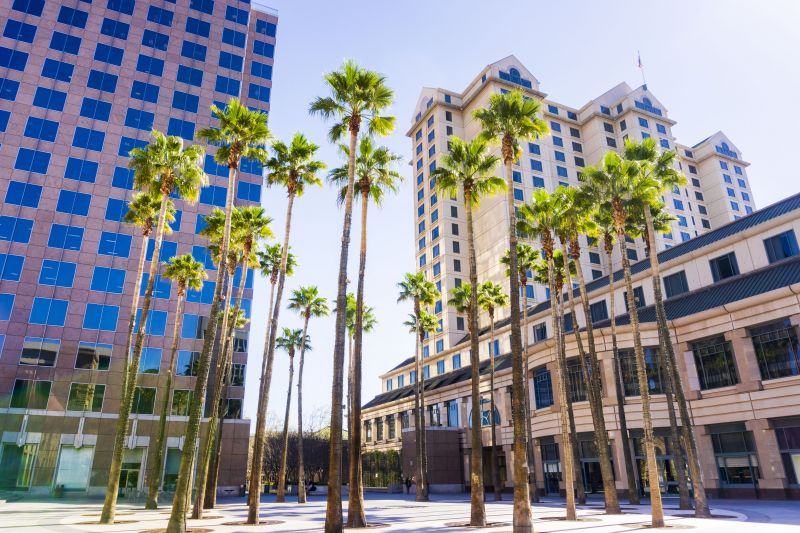 Dead Tree Removal in San Jose, CA