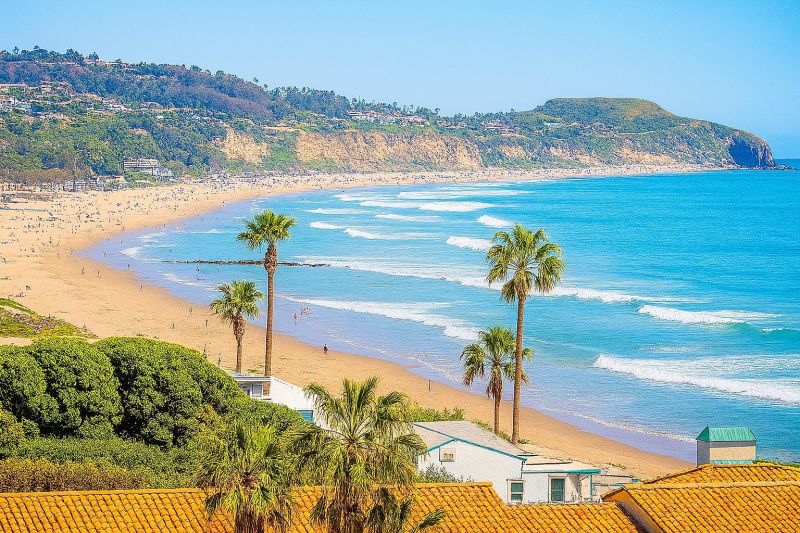 Emergency Tree Removal in Malibu, CA