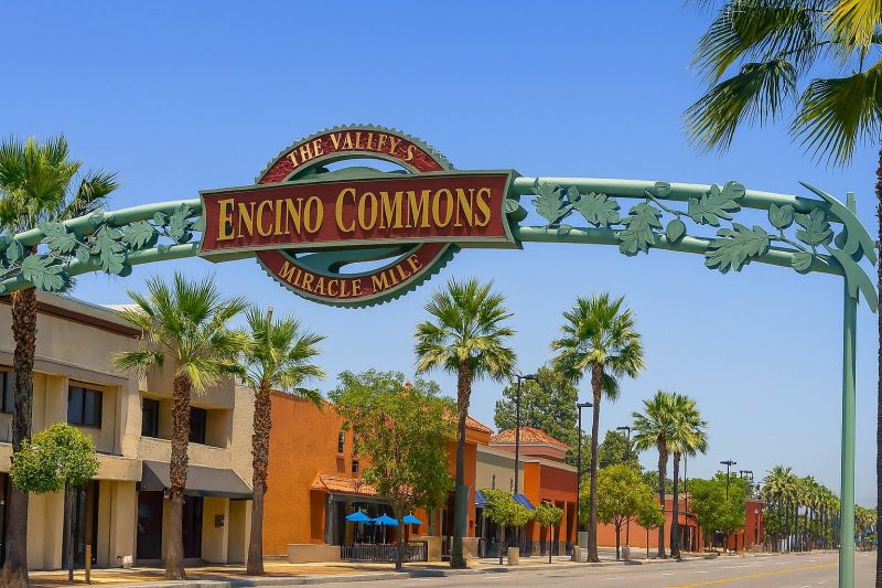 Emergency Tree Removal in Encino, CA