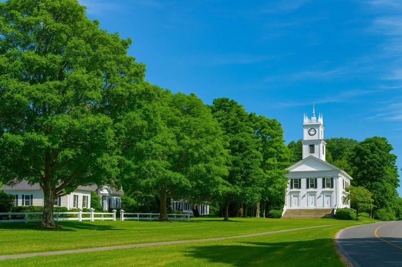 Emergency Tree Removal in Redding, CT
