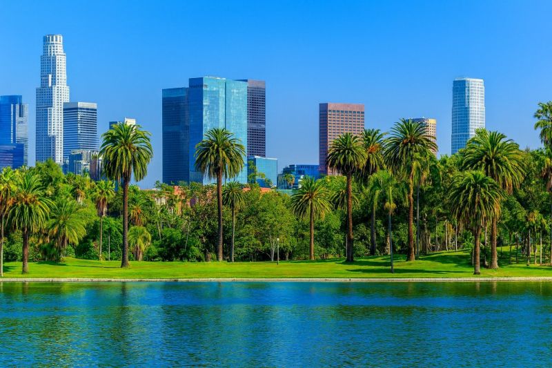 Emergency Tree Removal in North Hollywood, CA
