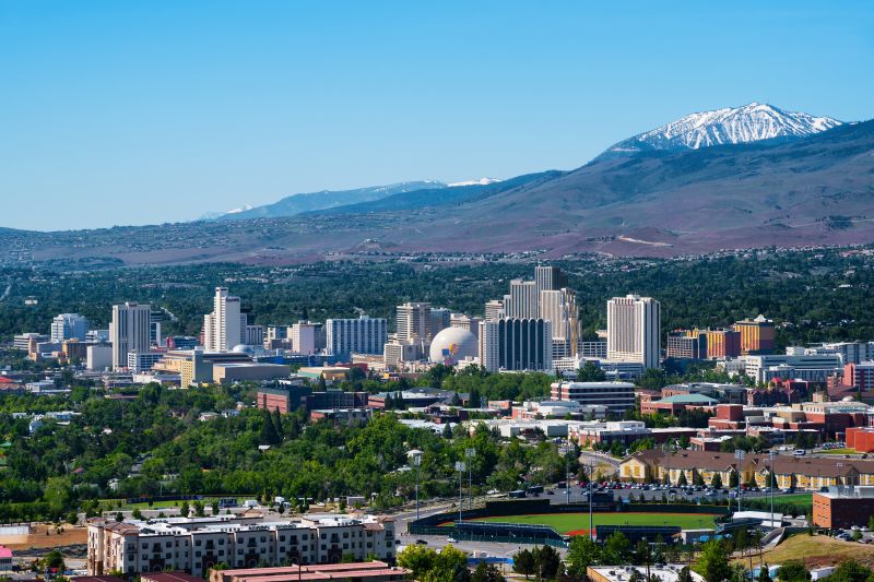 Emergency Tree Removal in Reno, NV