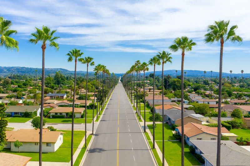 Emergency Tree Removal in West Covina, CA