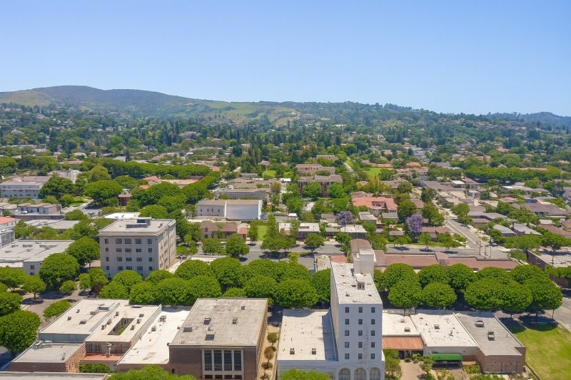 Emergency Tree Removal in Whittier, CA