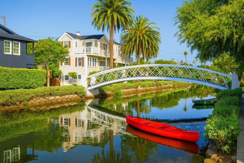 Emergency Tree Removal in Venice, CA