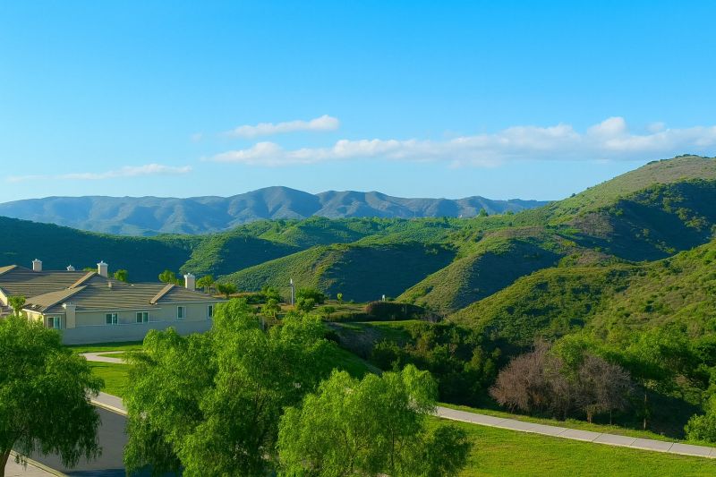Emergency Tree Removal in Newbury Park, CA