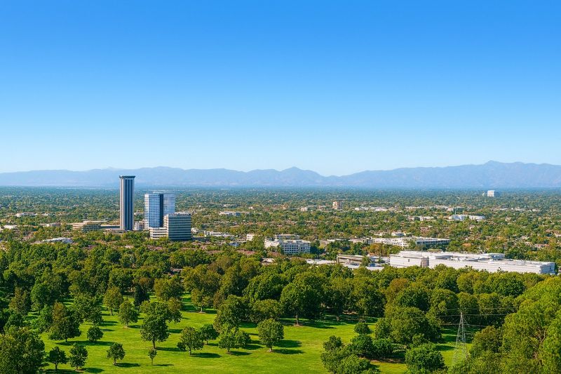Fallen Tree Removal in Burbank, CA