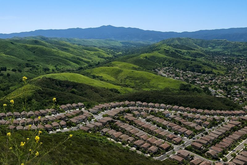 Fallen Tree Removal in Simi Valley, CA