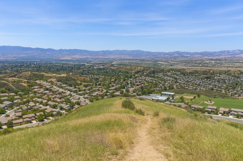 Fallen Tree Removal in Santa Clarita, CA