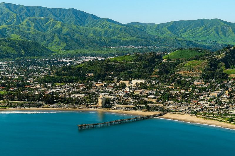 Fallen Tree Removal in Ventura, CA