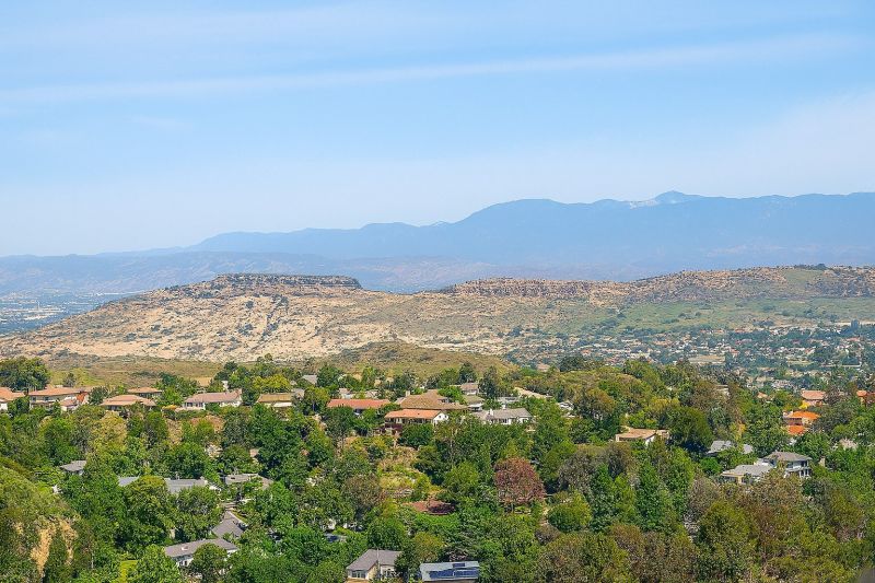 Tree Removal Service in Thousand Oaks, CA