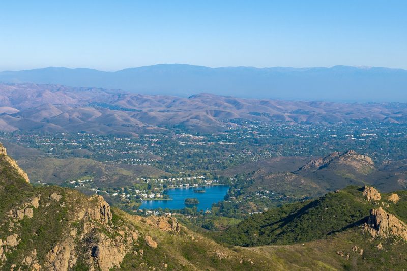 Tree Removal Service in Calabasas, CA