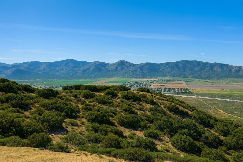 Tree Removal Service in Palmdale, CA