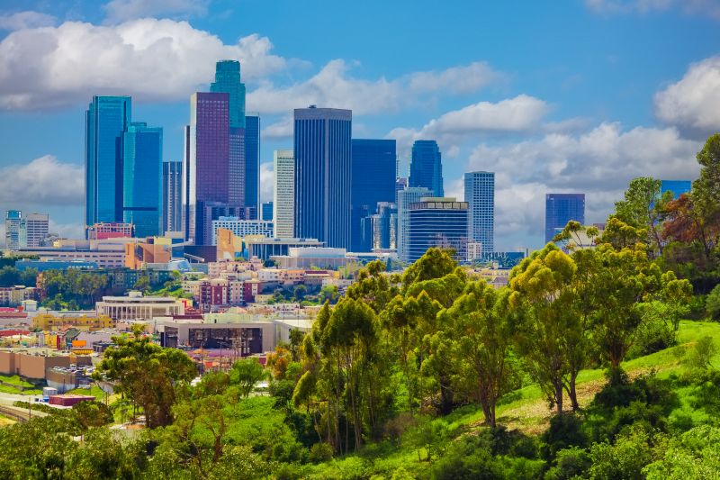 Tree Removal Service in Los Angeles, CA