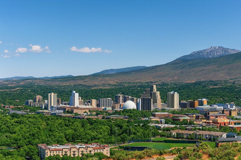 Tree Removal Service in Sparks, NV
