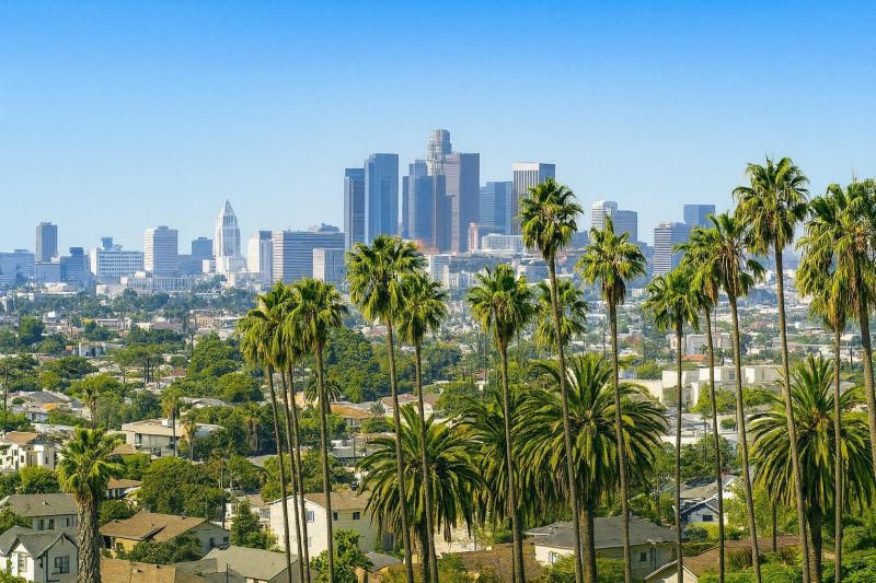Tree Removal Service in Sherman Oaks, CA