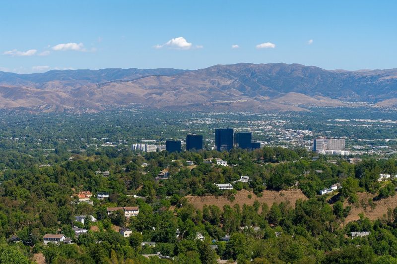 Tree Removal Service in Woodland Hills, CA