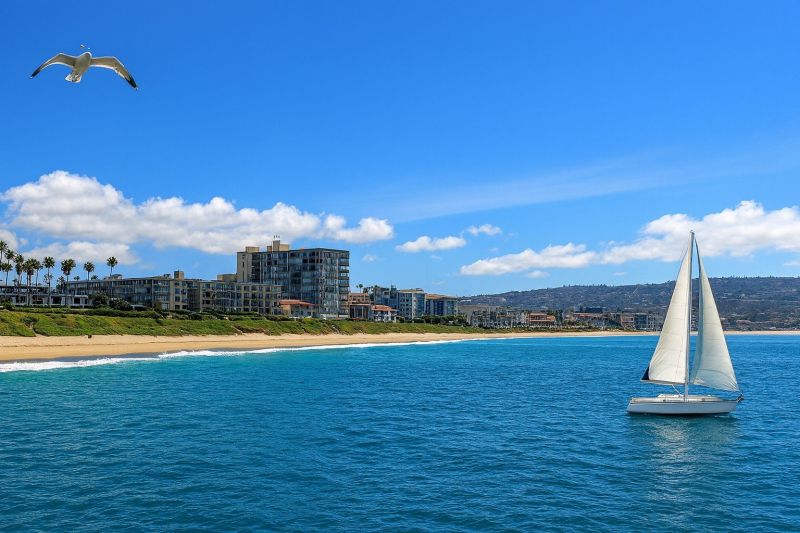 Tree Removal Service in Redondo Beach, CA