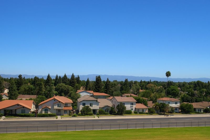 Tree Removal Service in North Hills, CA