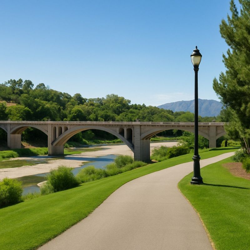 Tree Removal Service in Valencia, CA